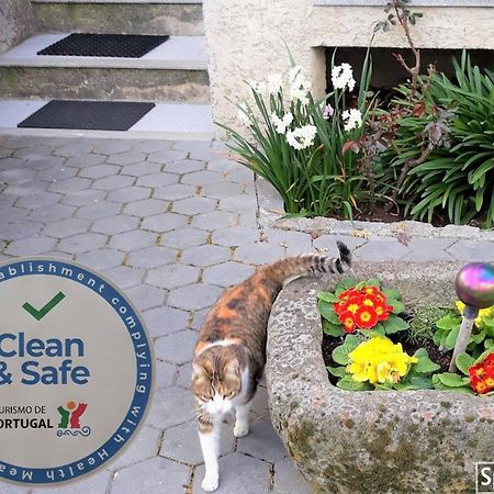 Cynda'S Home Viseu Εξωτερικό φωτογραφία
