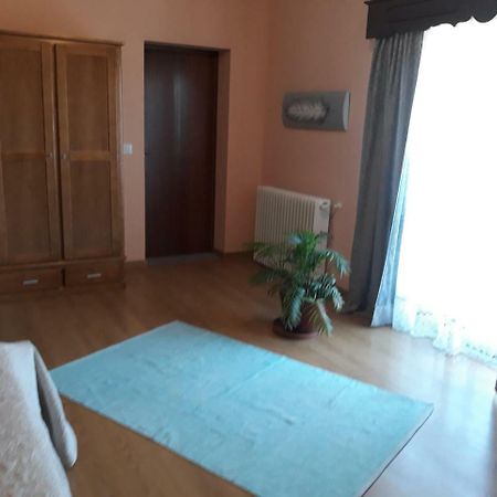 Cynda'S Home Viseu Εξωτερικό φωτογραφία
