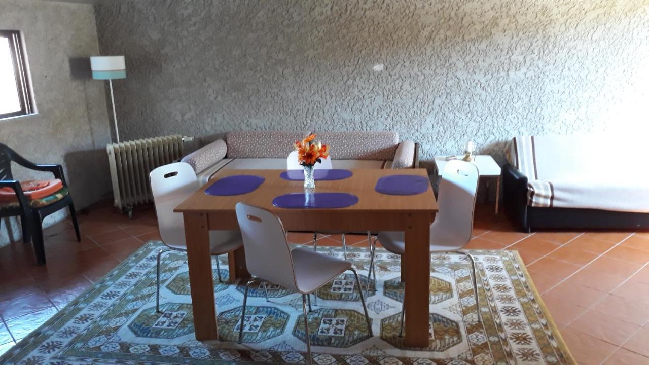 Cynda'S Home Viseu Εξωτερικό φωτογραφία