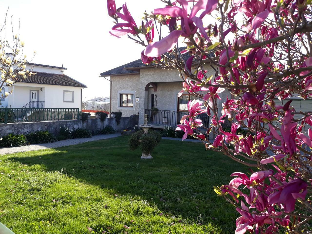Cynda'S Home Viseu Εξωτερικό φωτογραφία