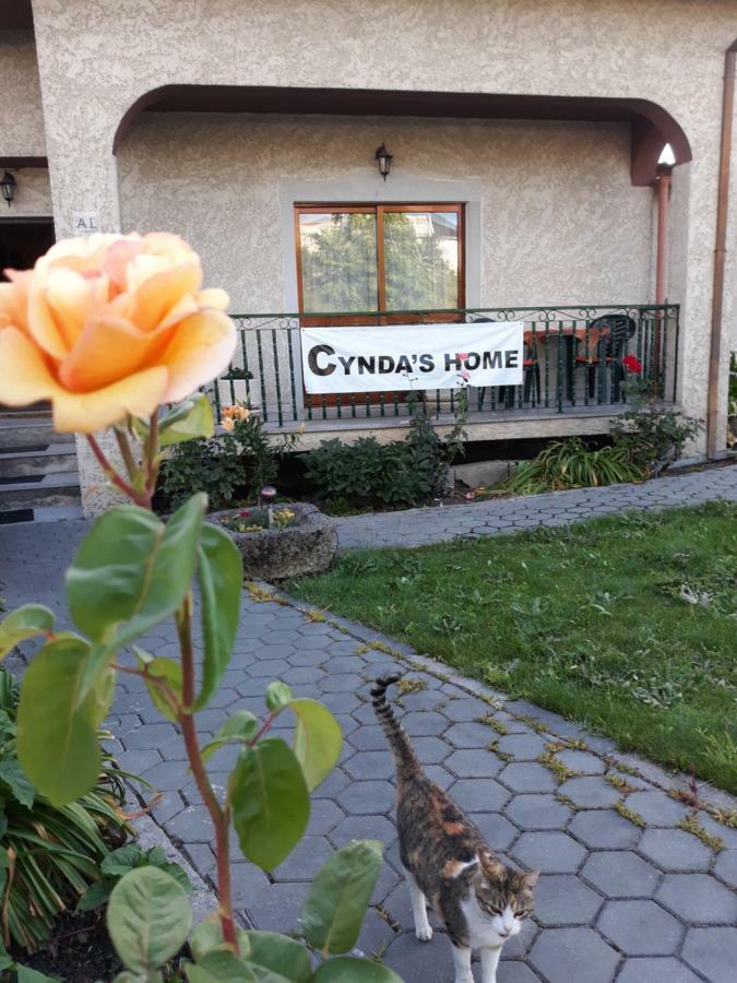 Cynda'S Home Viseu Εξωτερικό φωτογραφία